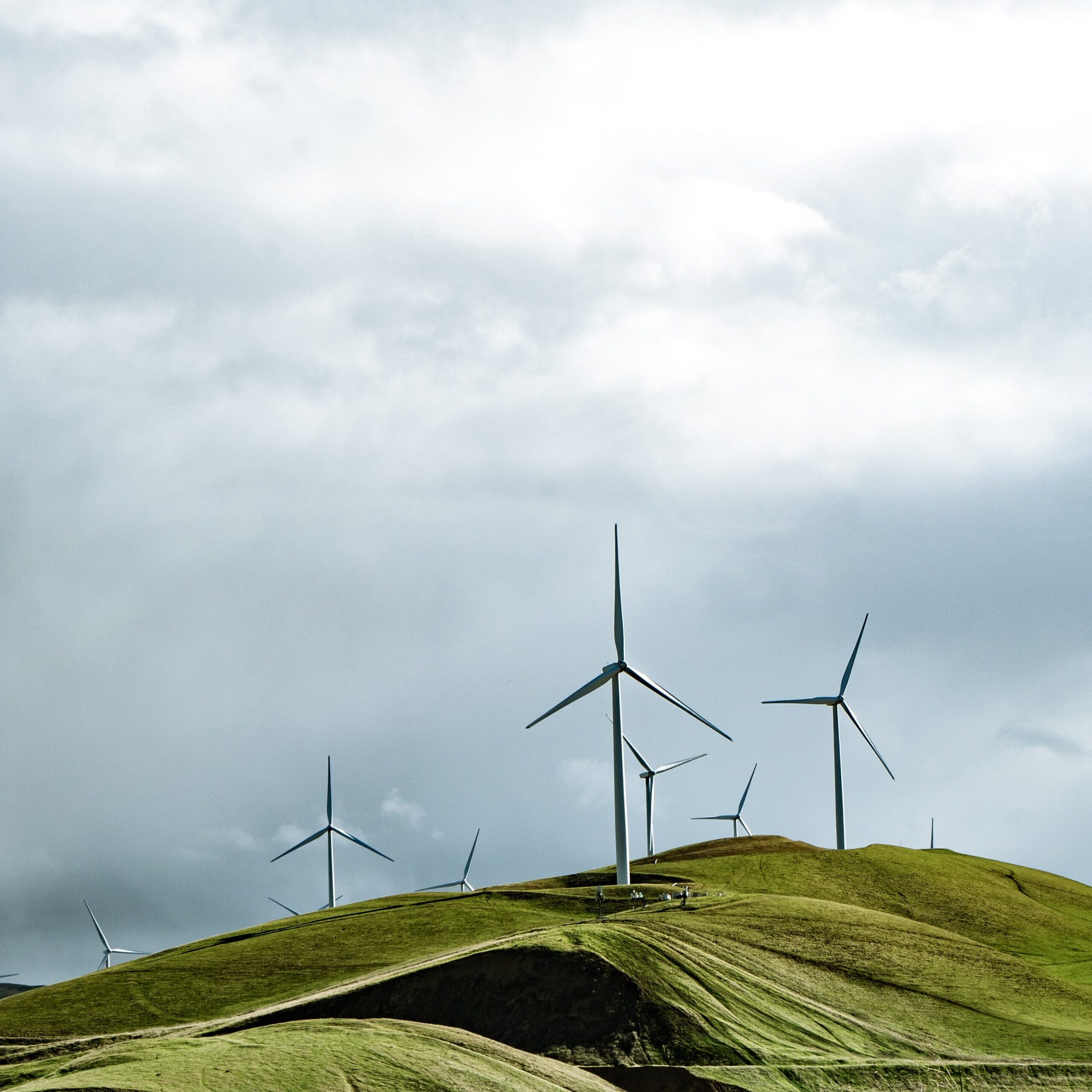 nachhaltige Energiequelle Windenergie
